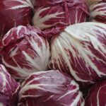 radicchio, salad, red, chicory