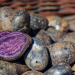 purple potatoes