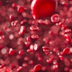 sangue, glóbulos vermelhos