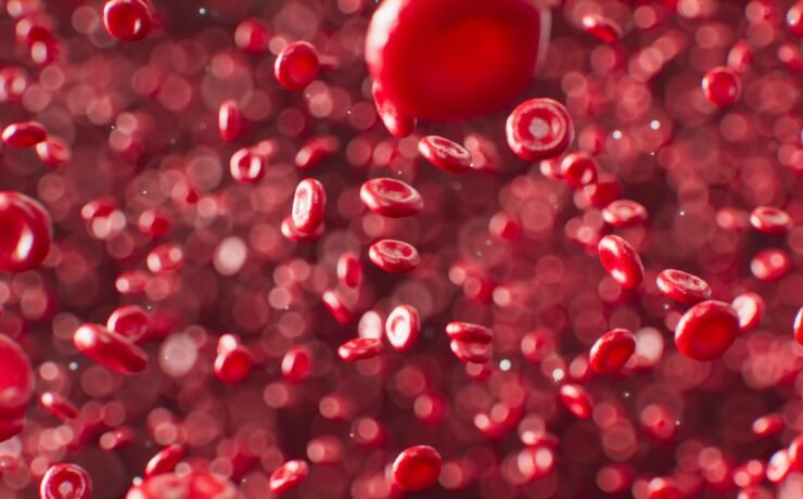 sangue, glóbulos vermelhos