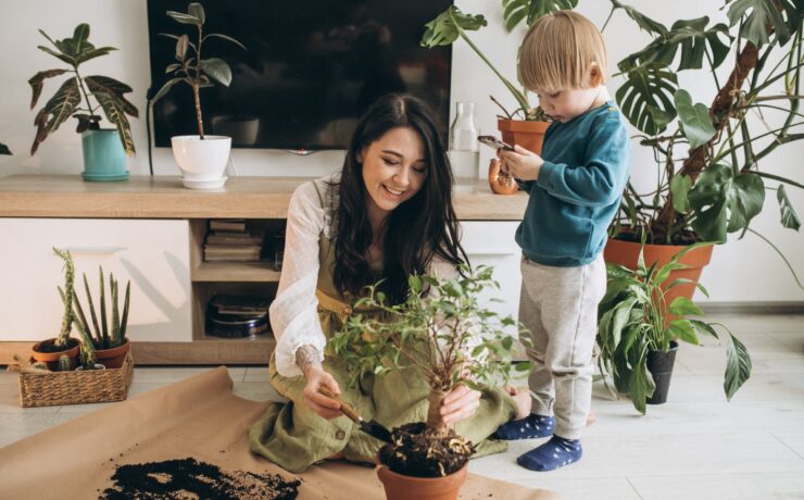 mother, son, house, plant