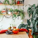 plantas de interior em vasos em uma sala