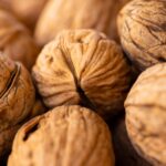 proteína de oleaginosas, nozes