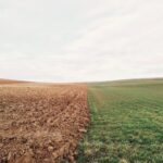 campo de erva verde e solo castanho ambiente terrestre