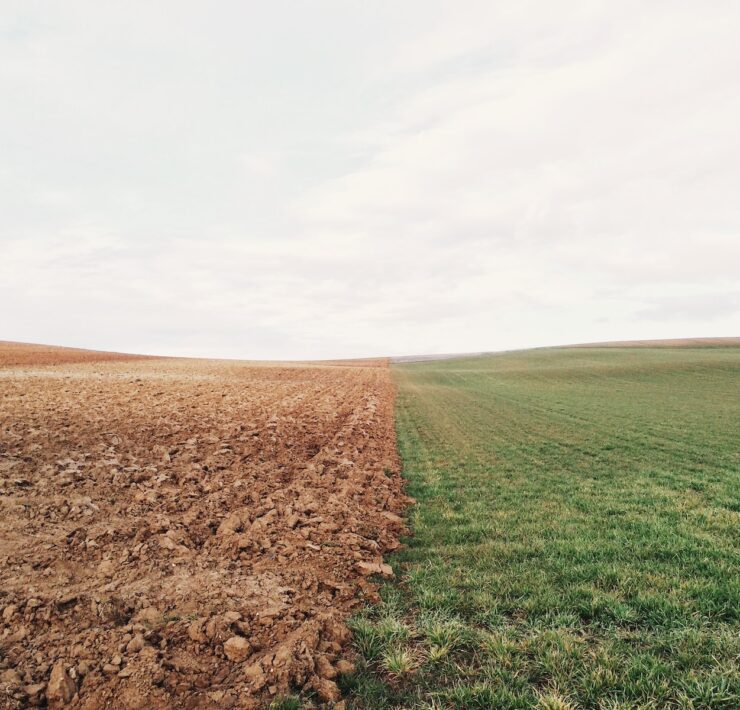 green grass field and brown soil earth environment