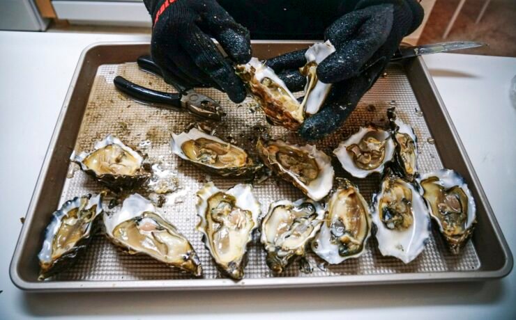 Tray oysters