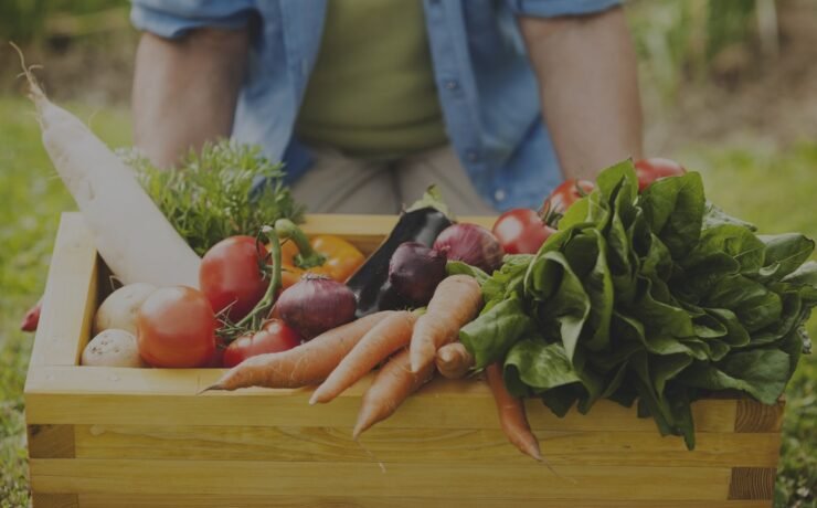 legumes, leguminosas, mercado, bio, verde, homem, menino