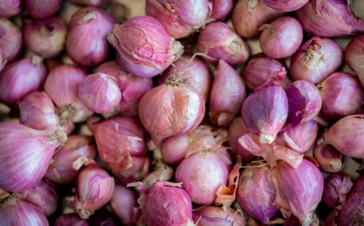 pink garlic in close up photography onion