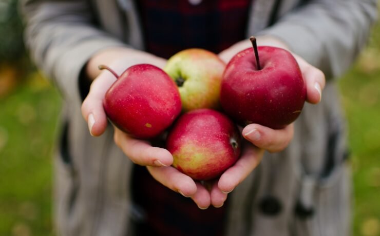 pessoa segurando quatro maçãs nas mãos