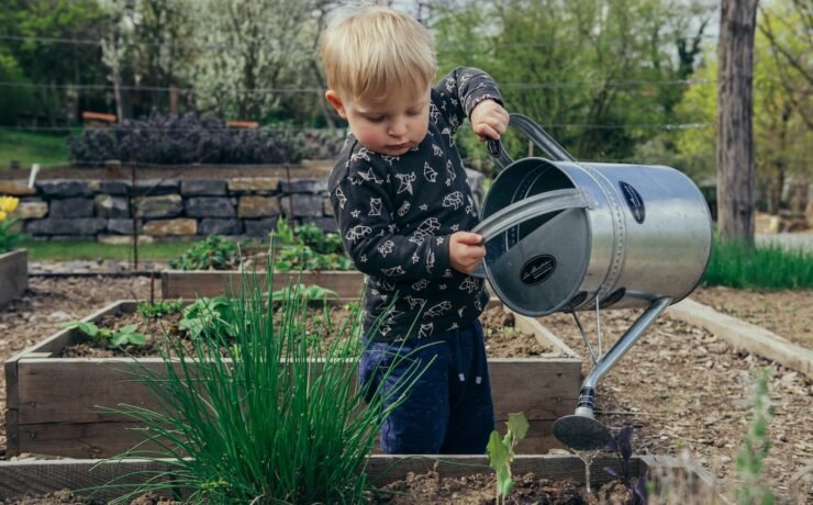 boy in black and white long sleeve shirt standing by gray metal watering can during daytime vegetable garden child responsibility