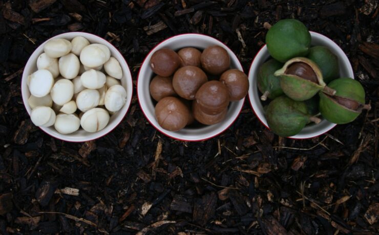 white round ceramic bowls with white round fruits