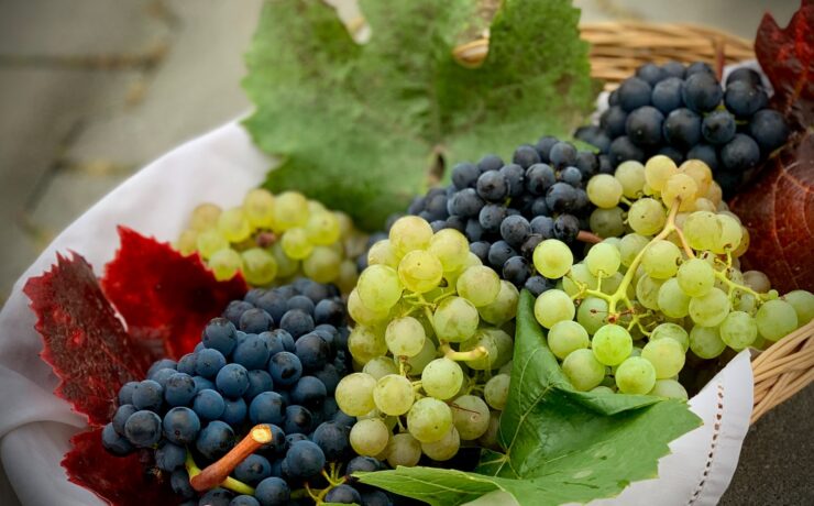 uvas verdes em uma tigela de cerâmica branca