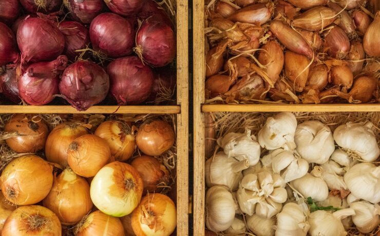 a bunch of different types of onions and onions