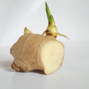 ginger, ginger sprout, germination