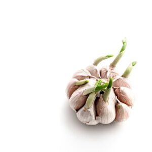 vegetable, garlic, food