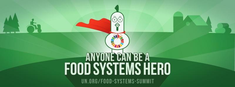 food system hero UN
