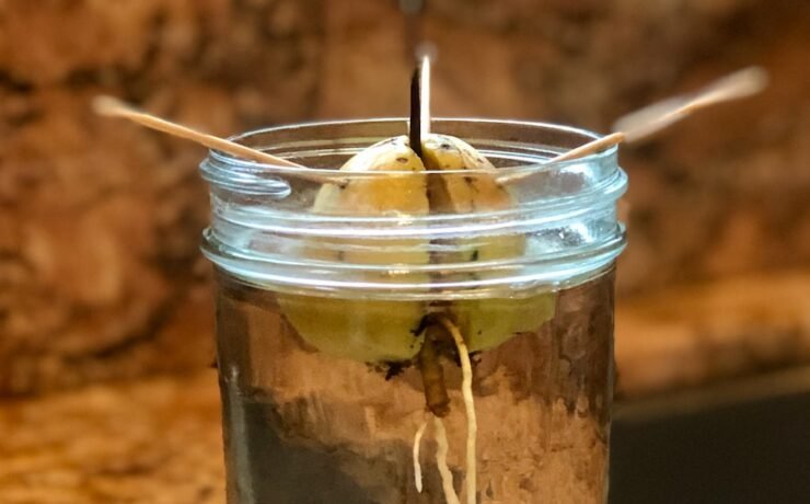 clear glass jar with white straw