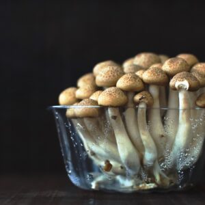 clear glass cup filled with mushroom