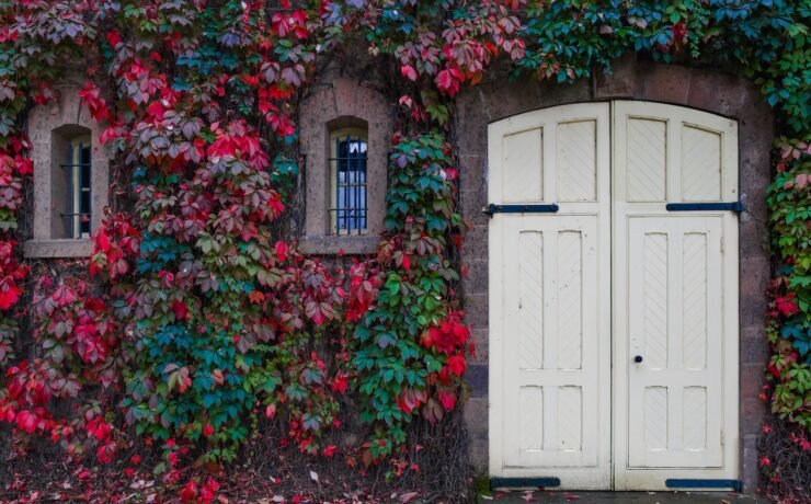 fachada coberta de hera com porta branca de madeira