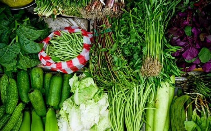 assorted vegetables green leaf