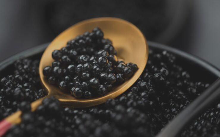 caviar