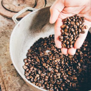 mão segurando grãos de café