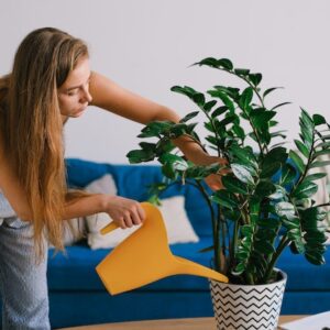 Menina regando uma planta na sala de estar