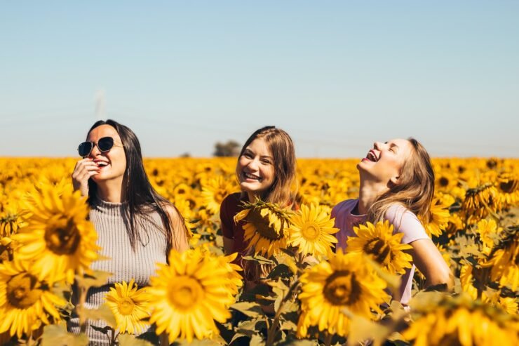 três garotas rindo muito no meio de uma plantação de girassois