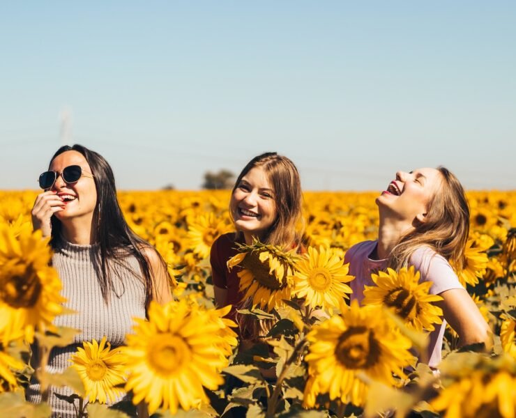 três garotas rindo muito no meio de uma plantação de girassois