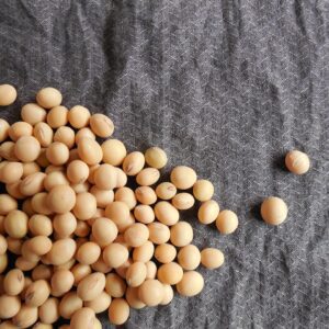 soja, grãos de soja