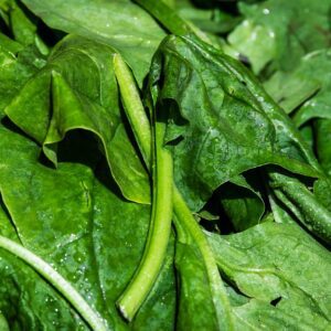 espinafre