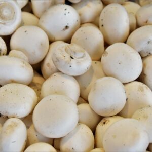 champignons de Paris, champignons, cogumelos