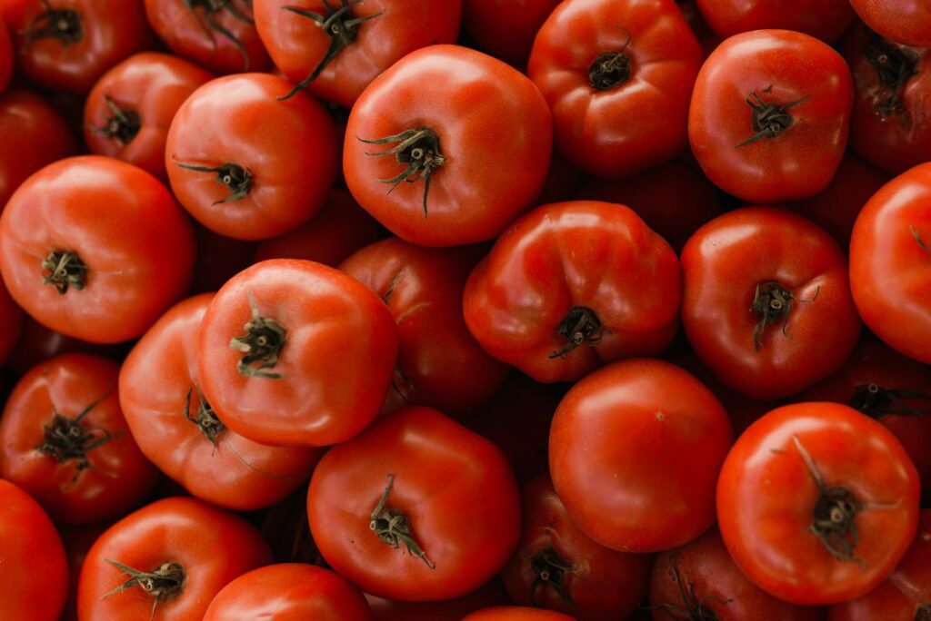 Tomates vermelhos em fotografia de close up