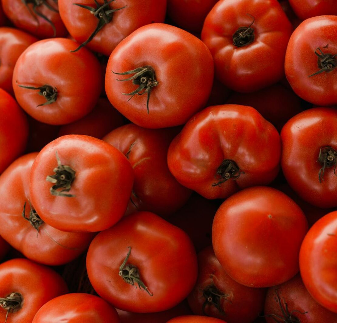 Tomates vermelhos em fotografia de close up