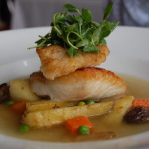 halibut fish