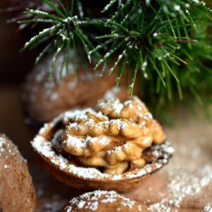 nozes sob um pinheiro de natal com neve artificial