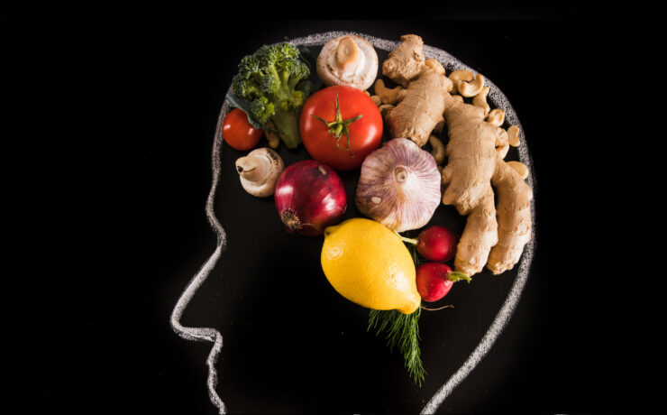 alimentos para o cérebro
