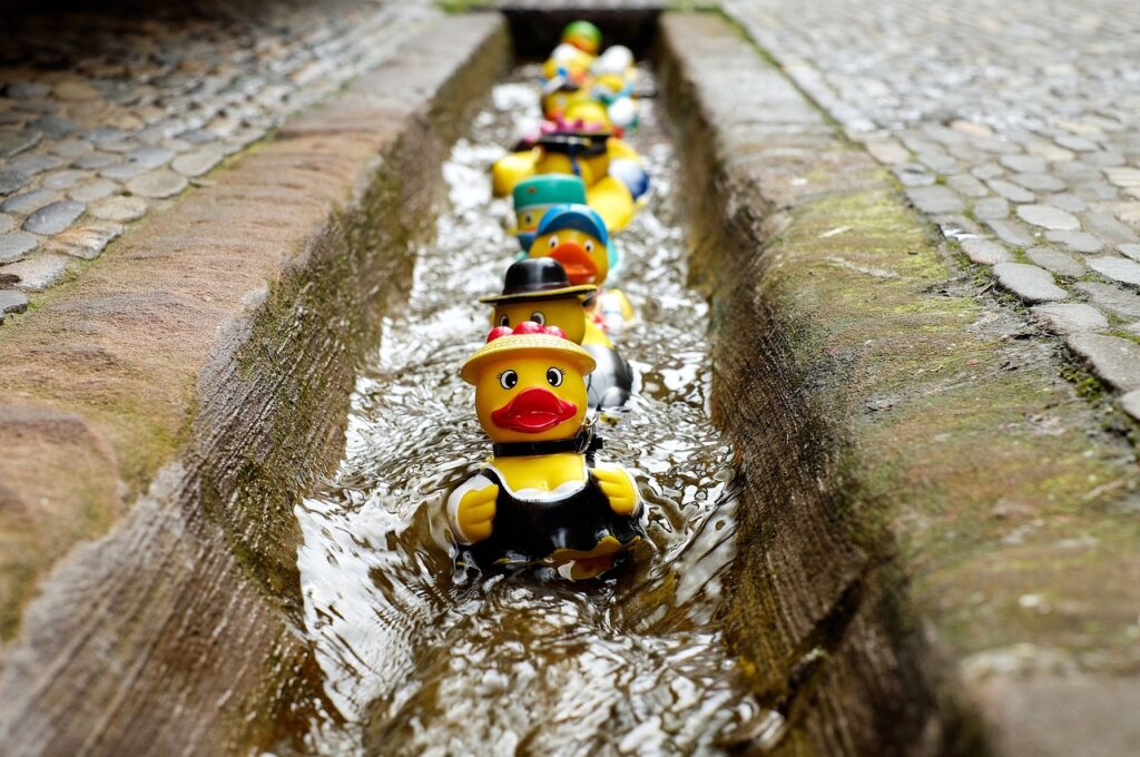diversos patinhos de borracha descendo por um toboagua na canaleta da rua