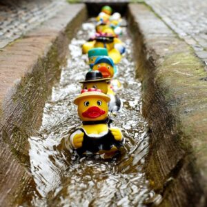 diversos patinhos de borracha descendo por um toboagua na canaleta da rua