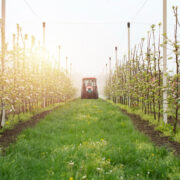 tractor agricolture pesticides