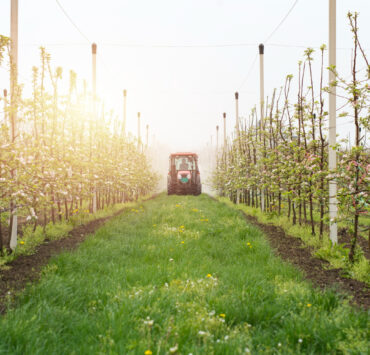tractor agricolture pesticides