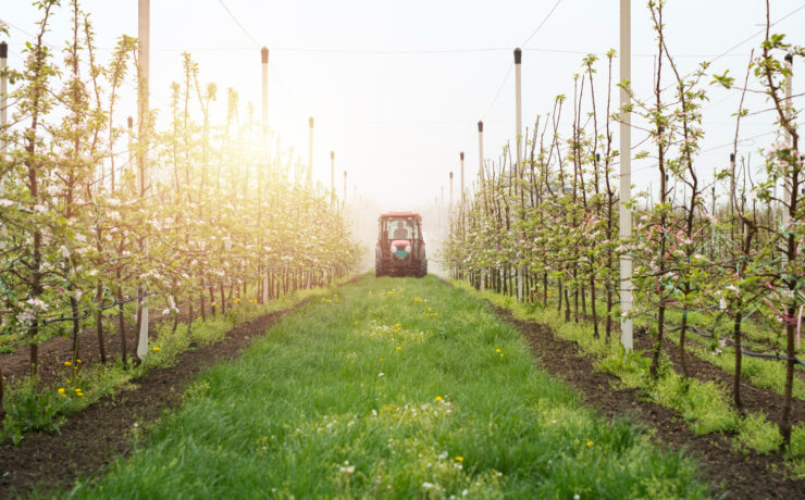 tractor agricolture pesticides