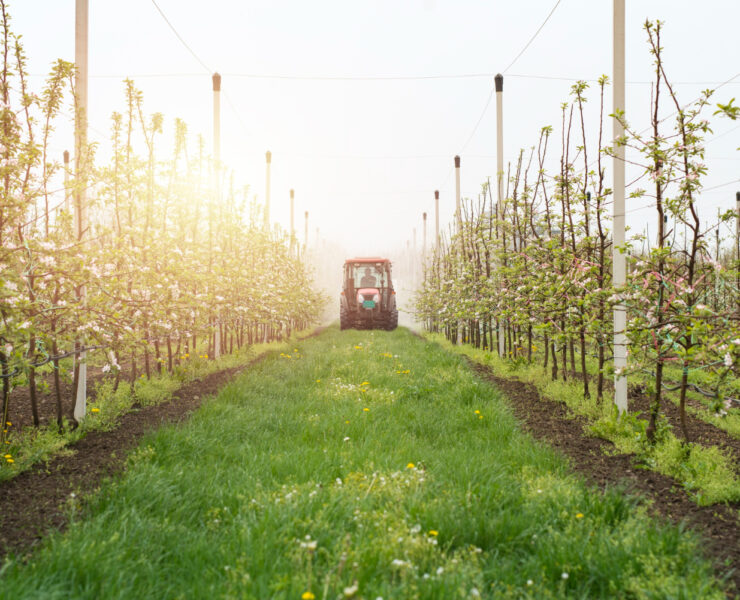 tractor agricolture pesticides