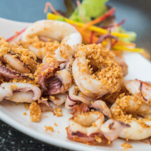 cuttlefish