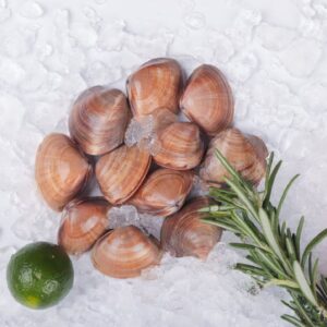 clams