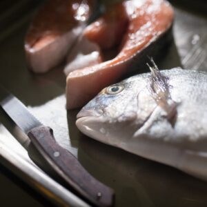 gill fish