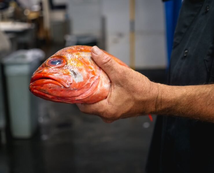 carne de peixe