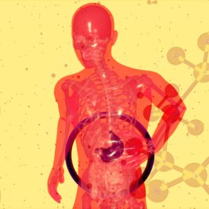 desenho de um corpo humano mostrando o fígado
