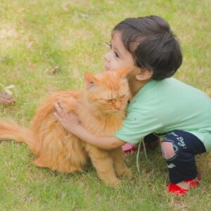 uma criança acariciando um gato na grama