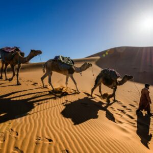 homem caminhando com camelos no deserto, deserto do Saara, Marrakech, Marrocos